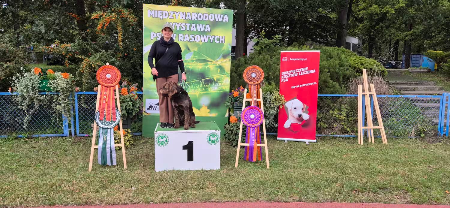 Aria na podium „1" — Zwycięzca Rasy